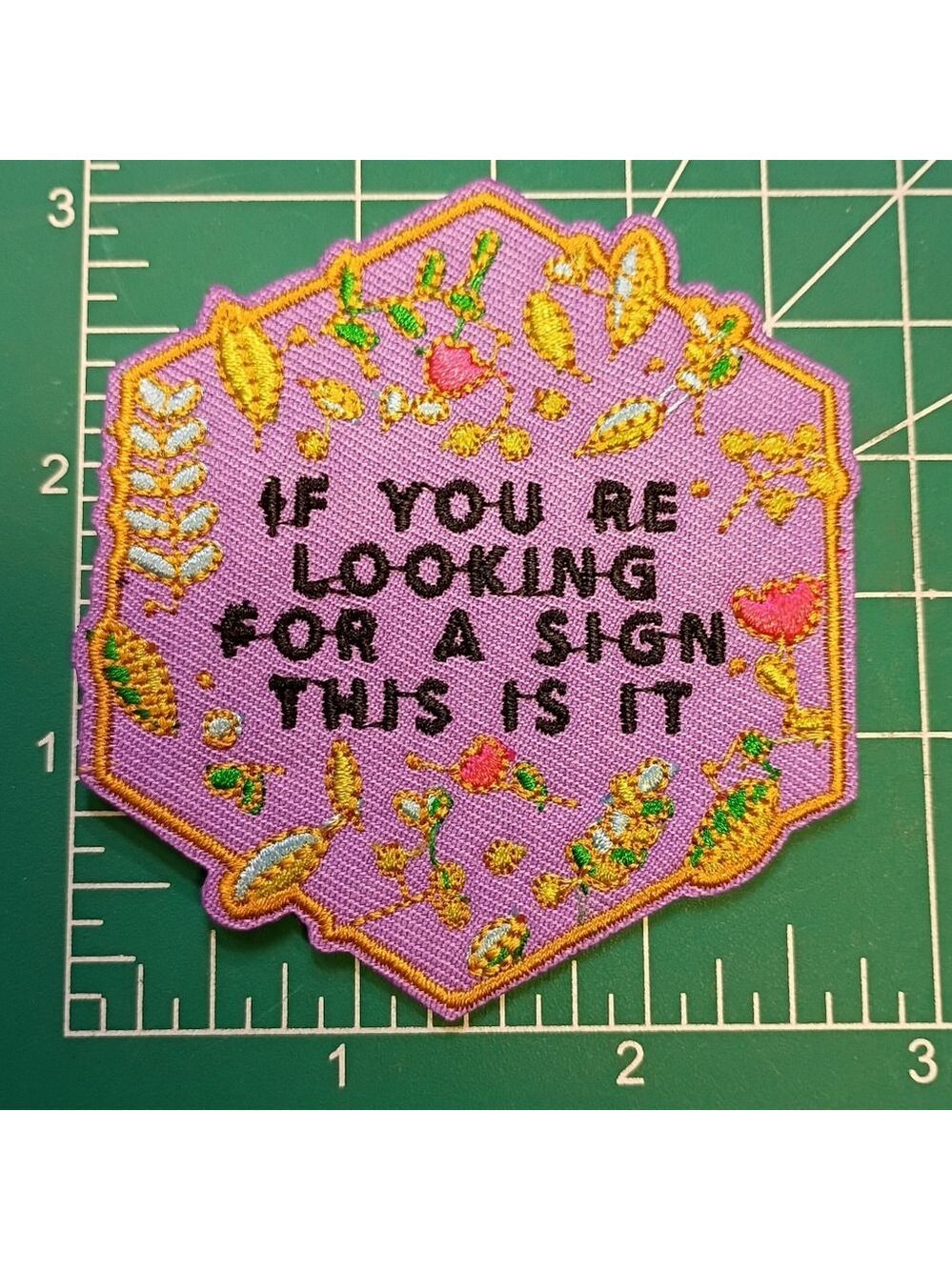 2/$10 If Your Looking For A Sign This Is It Embroidered Patch